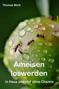 Produktbild: Ameisen loswerden