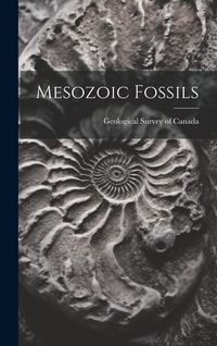 Produktbild: Mesozoic Fossils