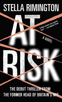 Produktbild: At Risk