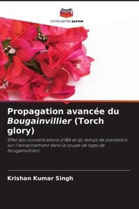 Produktbild: Propagation avanc&eacute;e du Bougainvillier (Torch glory)