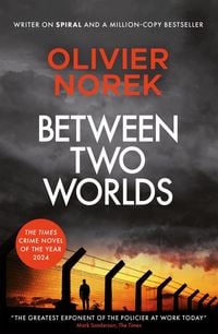 Produktbild: Between Two Worlds