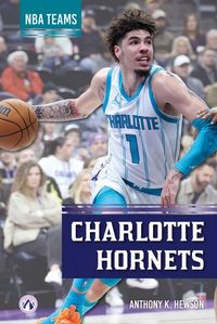 Produktbild: Charlotte Hornets