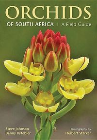 Produktbild: ORCHIDS OF SOUTH AFRICA