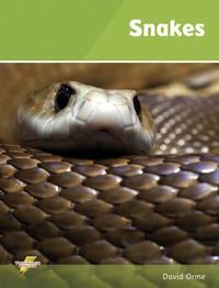 Produktbild: Snakes