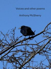 Produktbild: Voices and other poems