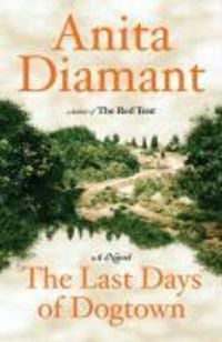 Produktbild: The Last Days of Dogtown