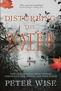 Produktbild: Disturbing the Water
