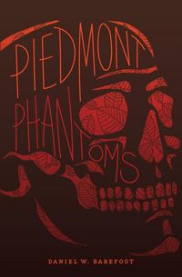 Produktbild: Piedmont Phantoms