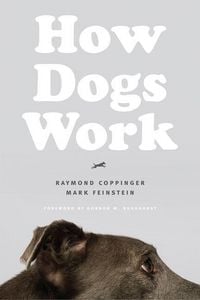 Produktbild: How Dogs Work