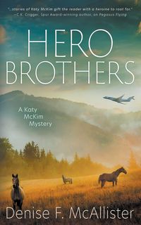 Produktbild: Hero Brothers