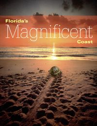 Produktbild: Florida's Magnificent Coast