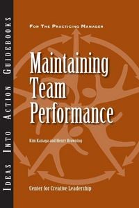 Produktbild: Maintaining Team Performance