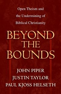 Produktbild: Beyond the Bounds