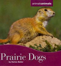 Produktbild: Prairie Dogs