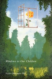 Produktbild: Windows to Our Children