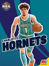 Produktbild: Charlotte Hornets