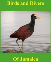 Produktbild: Birds and Rivers of Jamaica
