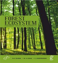 Produktbild: Forest Ecosystem