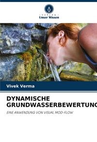 Produktbild: Dynamische Grundwasserbewertung