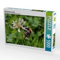 Produktbild: CALVENDO Puzzle Ackerhummel am Klee | 1000 Teile Lege-Gr&ouml;&szlig;e 64x48cm Foto-Puzzle f&uuml;r gl&uuml;ckliche Stunden