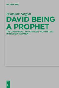 Produktbild: David Being a Prophet