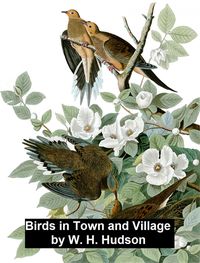 Produktbild: Birds in Town and Village