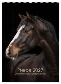 Produktbild: Pferde 2027 - Charakterk&ouml;pfe vor der Kamera (Wandkalender 2027 DIN A2 hoch), CALVENDO Monatskalender