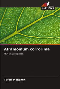 Produktbild: Aframomum corrorima