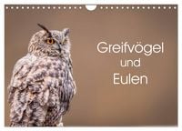 Produktbild: Greifv&ouml;gel und Eulen (Wandkalender 2026 DIN A4 quer), CALVENDO Monatskalender