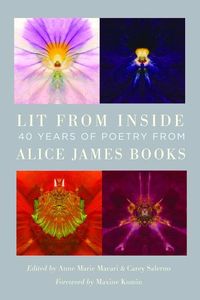 Produktbild: Lit from Inside