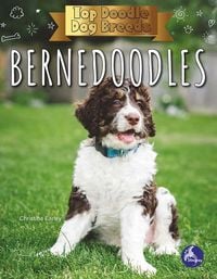 Produktbild: Bernedoodles