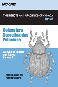 Produktbild: Coleoptera, Curculionidae, Entiminae