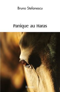Produktbild: Panique au Haras