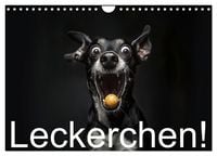 Produktbild: Leckerchen! (Wandkalender 2026 DIN A4 quer), CALVENDO Monatskalender