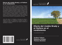 Produktbild: Efecto del rizobio Brady y el f&oacute;sforo en el rendimiento