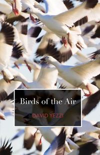 Produktbild: Birds of the Air