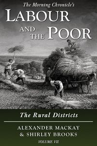 Produktbild: Labour and the Poor Volume VII