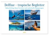 Produktbild: Delfine - tropische Begleiter (Wandkalender 2027 DIN A3 quer), CALVENDO Monatskalender