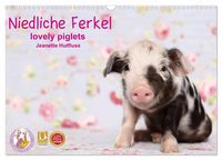 Produktbild: Niedliche Ferkel lovely piglets 2026 (Wandkalender 2026 DIN A3 quer), CALVENDO Monatskalender