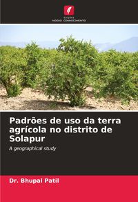 Produktbild: Padr&otilde;es de uso da terra agr&iacute;cola no distrito de Solapur