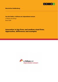 Produktbild: Innovation in big firms and medium sized firms. Approaches, differences and examples