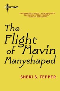 Produktbild: The Flight of Mavin Manyshaped