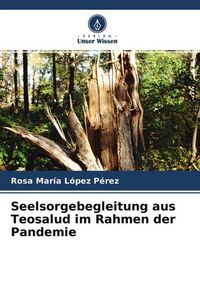 Produktbild: Seelsorgebegleitung aus Teosalud im Rahmen der Pandemie