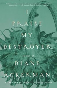 Produktbild: I Praise My Destroyer
