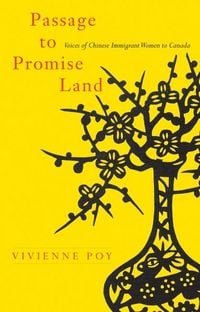Produktbild: Passage to Promise Land