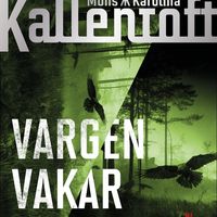 Produktbild: Vargen vakar i m&ouml;rkret