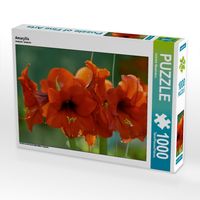 Produktbild: CALVENDO Puzzle Amaryllis | 1000 Teile Lege-Gr&ouml;&szlig;e 64x48cm Foto-Puzzle f&uuml;r gl&uuml;ckliche Stunden