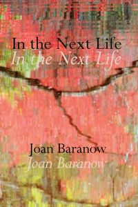 Produktbild: In the Next Life