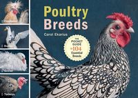 Produktbild: Poultry Breeds