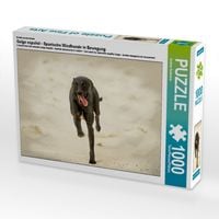 Produktbild: CALVENDO Puzzle Ein Motiv aus dem Kalender Galgo espa&ntilde;ol - Spanische Windhunde in Bewegung | 1000 Teile Lege-Gr&ouml;&szlig;e 64x48cm Foto-Puzzle f&uuml;r gl&uuml;ckliche Stunden